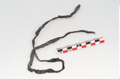 Etikett zu Rohhaut (NHMW-PRAE-126133)